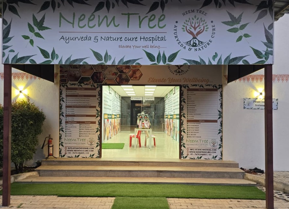 Front view of neem tree ayurveda and nature cure